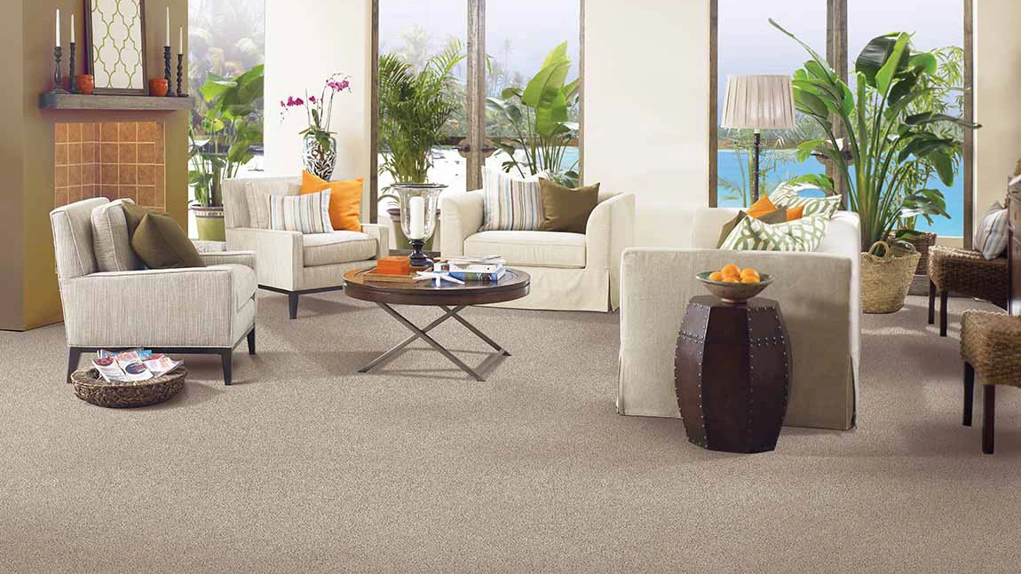 Beige carpet in beachfront home
